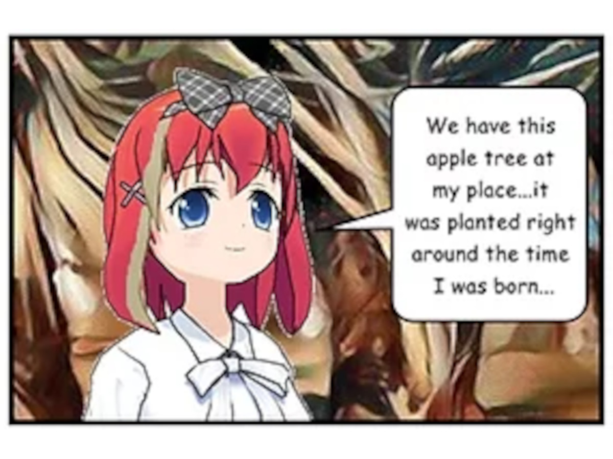 We have this apple tree at my place...